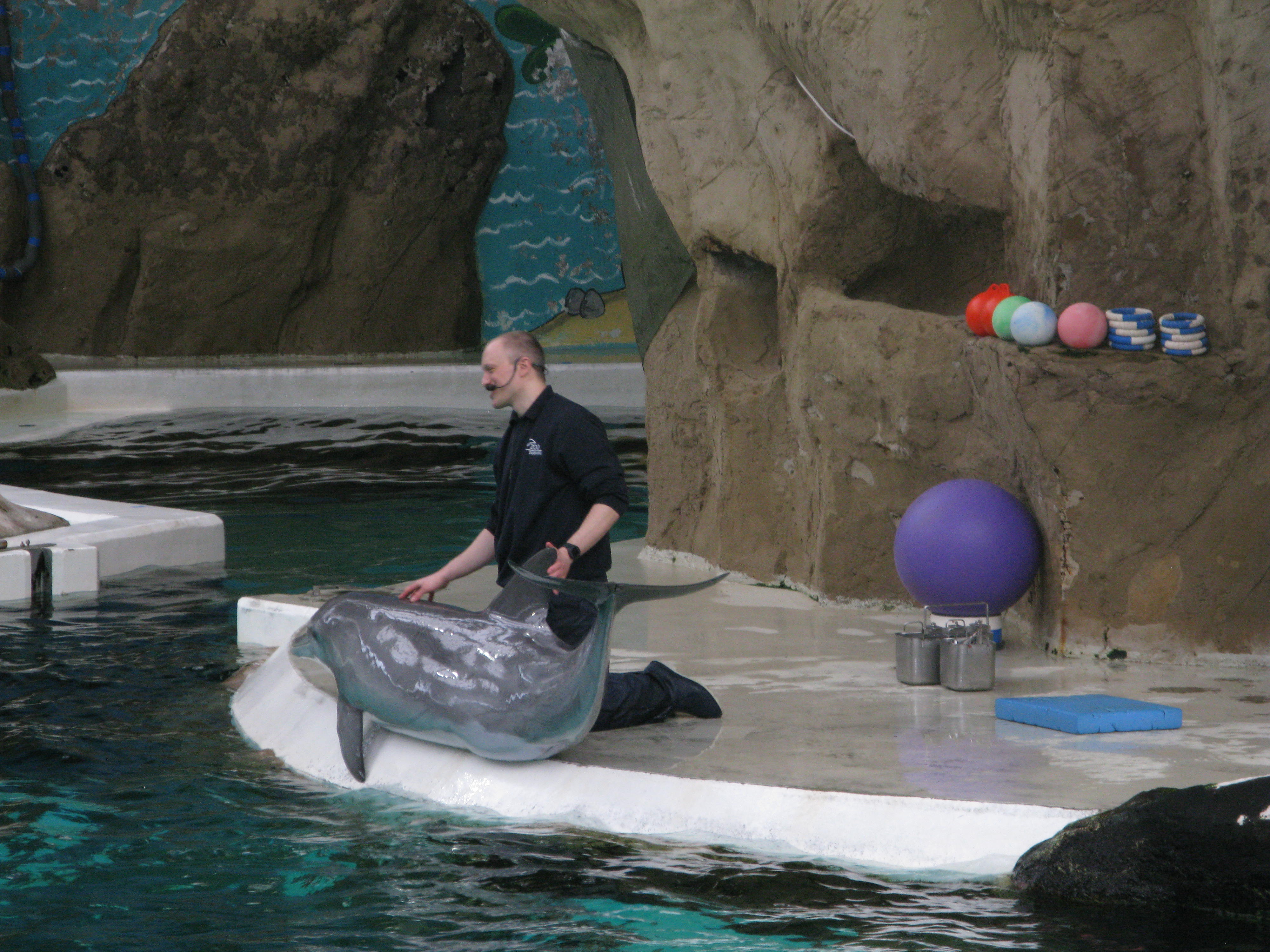 Bild 74 ZOO Duisburg AG in Duisburg