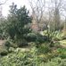 Botanischer Garten Duissern Kaiserberg in Duisburg