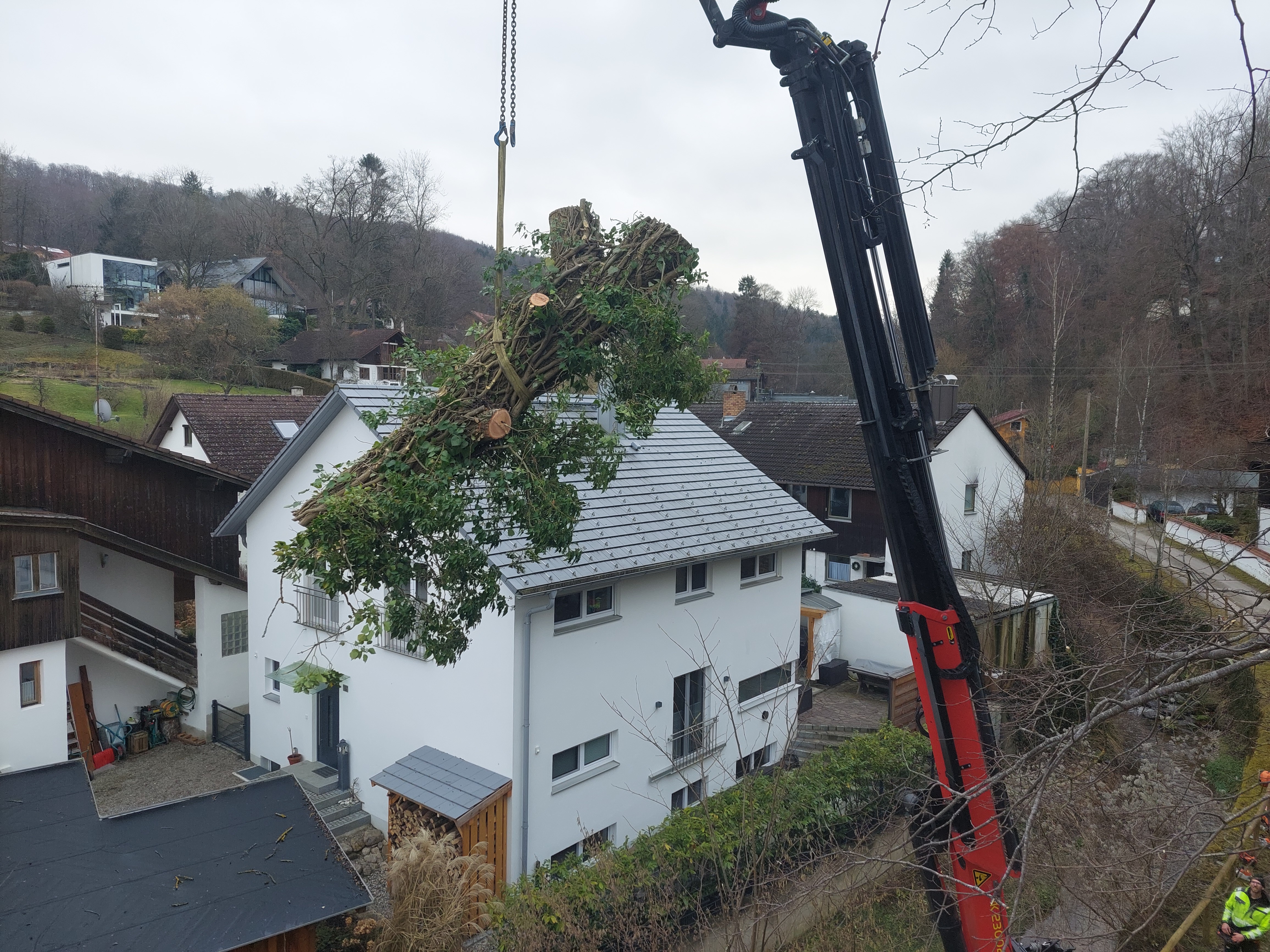 Bild 7 Baumpflege Birkholz in Gröbenzell