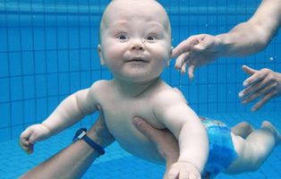 Bild zu Schwimmschule Flipper Weisenheim am Berg