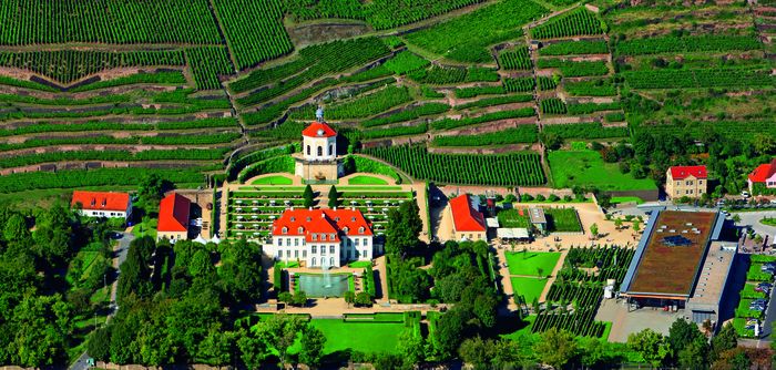 Nutzerbilder Sächsisches Staatsweingut GmbH Schloss Wackerbarth