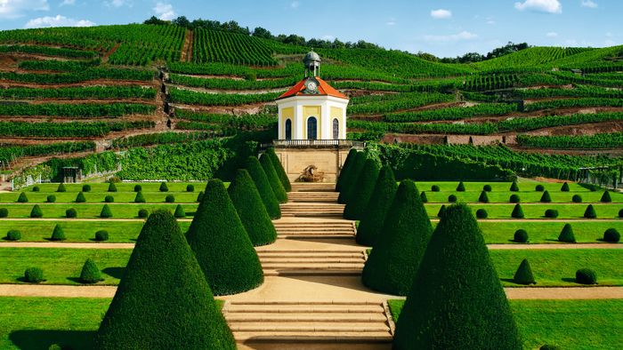 Nutzerbilder Sächsisches Staatsweingut GmbH Schloss Wackerbarth