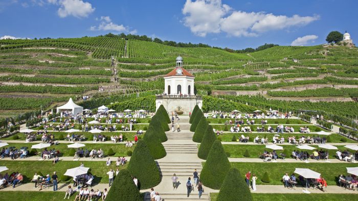 Nutzerbilder Sächsisches Staatsweingut GmbH Schloss Wackerbarth