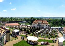 Bild zu Schloss Wackerbarth