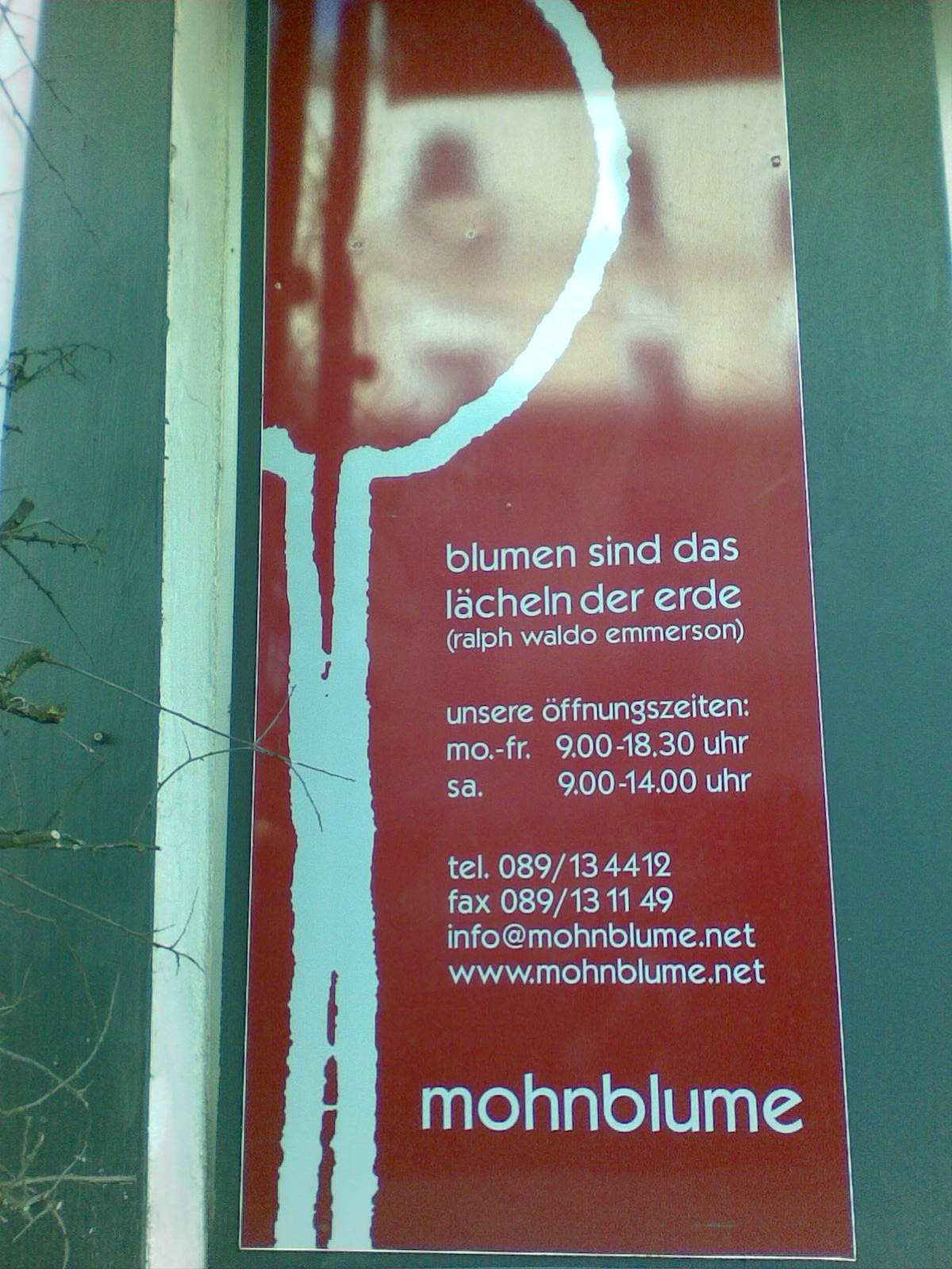 Bild 1 mohnblume - Ihr Blumenladen in Neuhausen in München