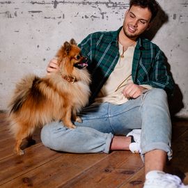 Hund mit Hundehalsband aus Leder von Allen Barkly