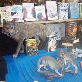 Otherland Bookshop in Berlin