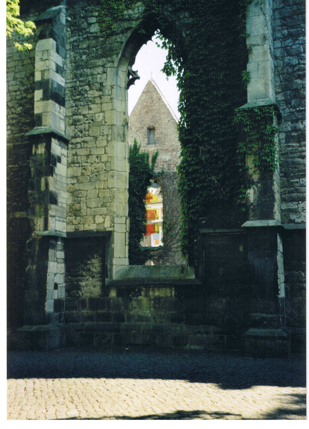 Nutzerfoto 20 Ruine der Franziskaner Klosterkirche