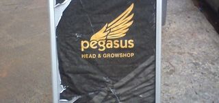 Bild zu Pegasus Head- & Growshop