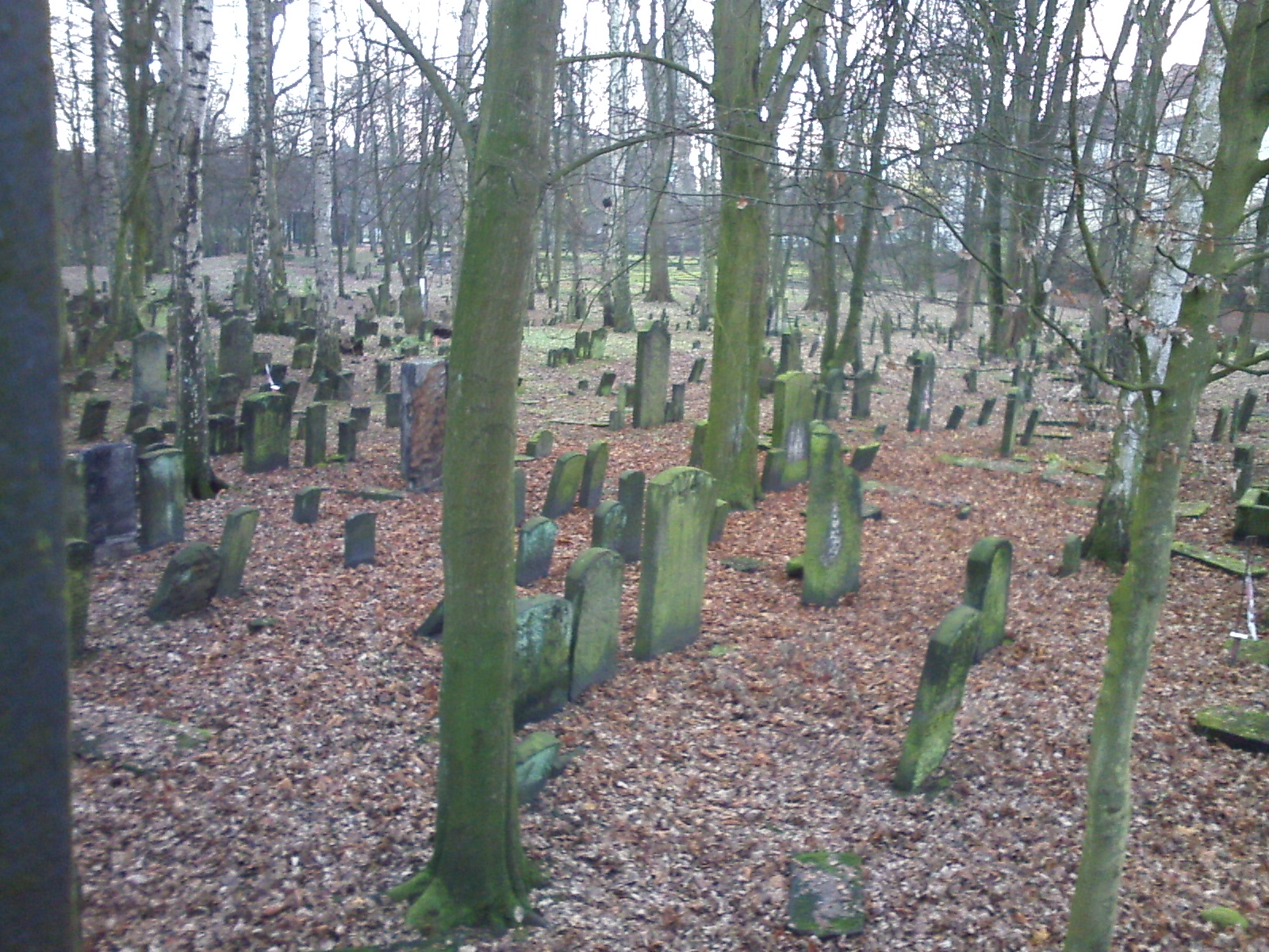 Bild 10 Jüdischer Friedhof Altona in Hamburg