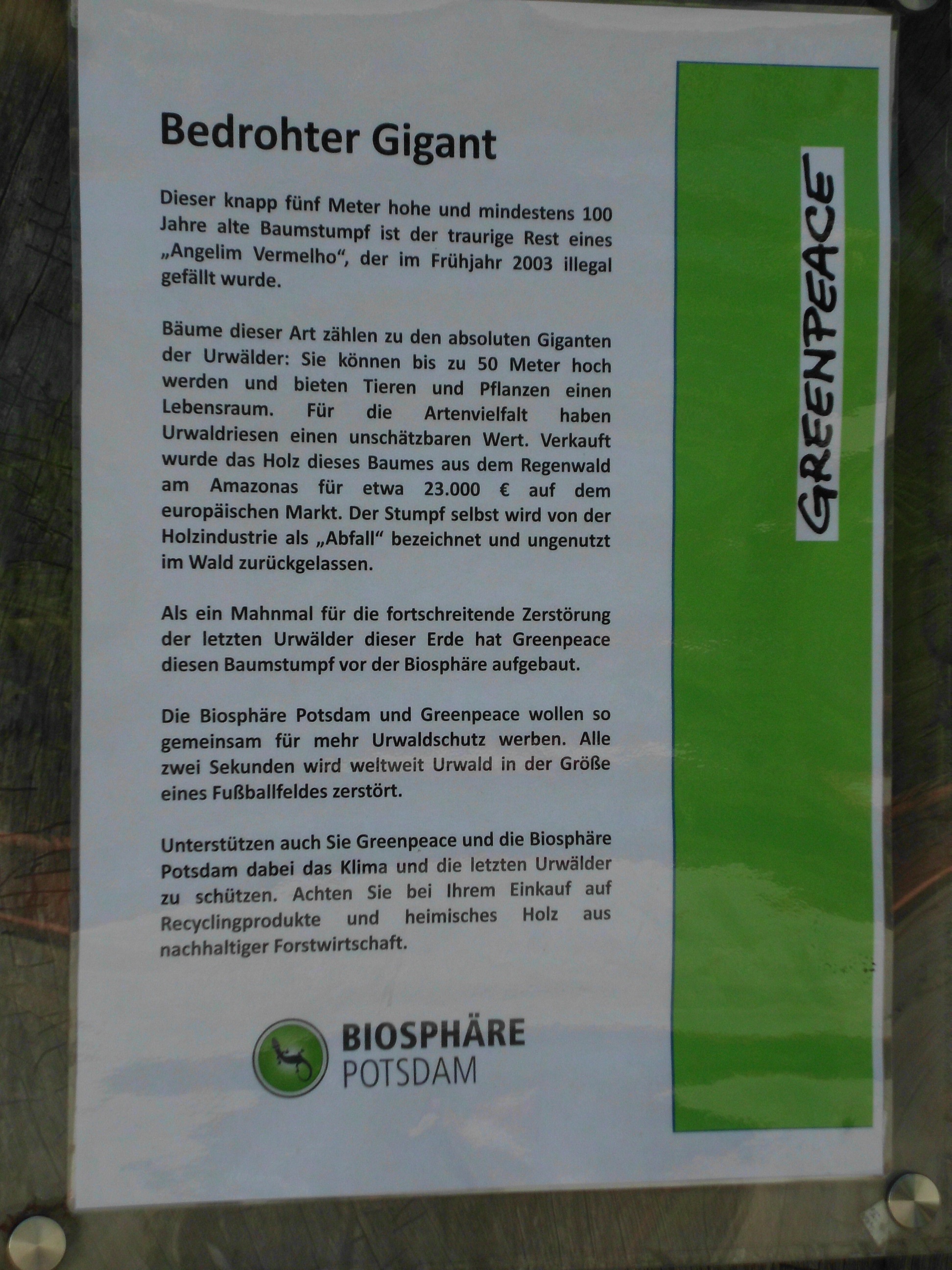 Bild 49 Biosphäre Potsdam GmbH in Potsdam