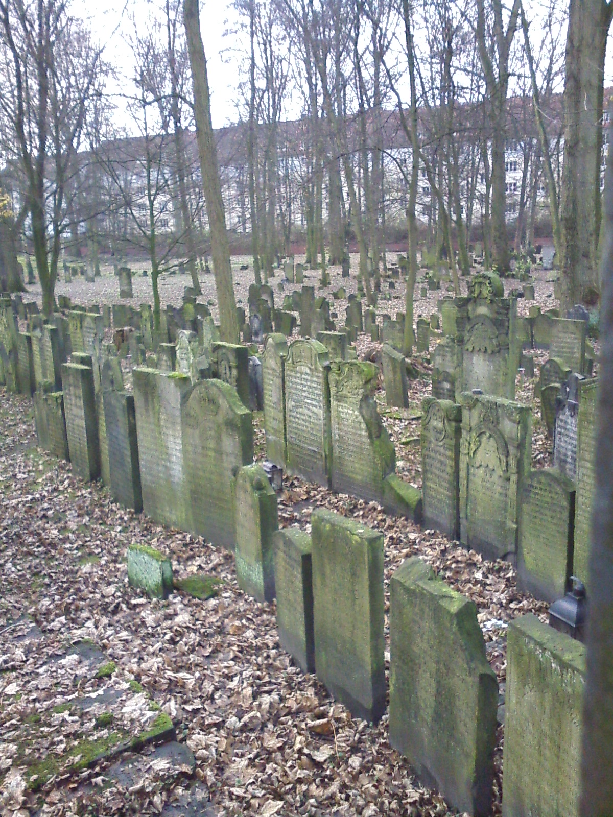 Bild 12 Jüdischer Friedhof Altona in Hamburg