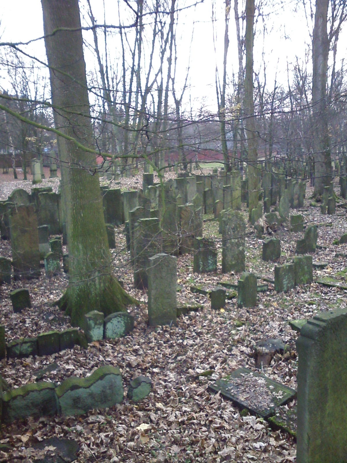 Bild 9 Jüdischer Friedhof Altona in Hamburg