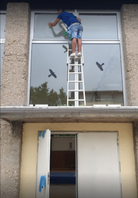 Bild 4 LBV Landesbund für Vogelschutz in Bayern Kreisgruppe Fürstenfeldbruck in Puchheim