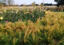 Bild zu Landesgartenschau LAGA Beelitz