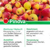 Nutzerbilder Müller Franz Obstgut GmbH Obst u. Gemüse