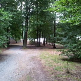 Liepnitzsee in Wandlitz