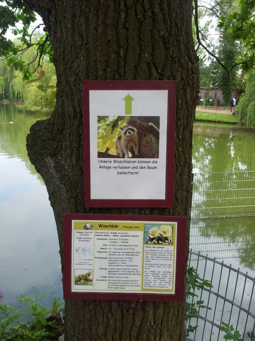Nutzerbilder Heimattierpark Greifswald