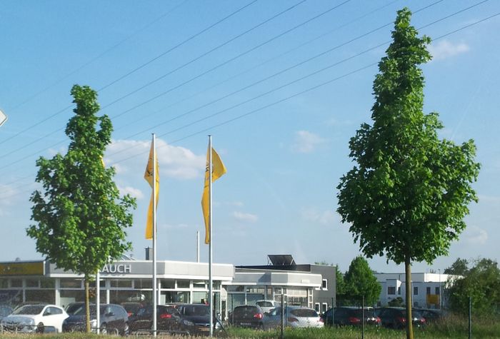 Autohaus Strauch GmbH