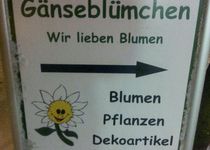 Bild zu Gänse Blümchen - Blumen, Deko & Geschenke, Inh. Gunnar Marquardt