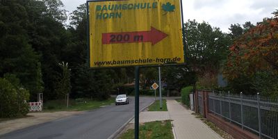 Baumschule Horn in Bruchmühle Stadt Altlandsberg