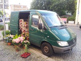Bild zu Blumen & Pflanzen - Am Landsberger Tor