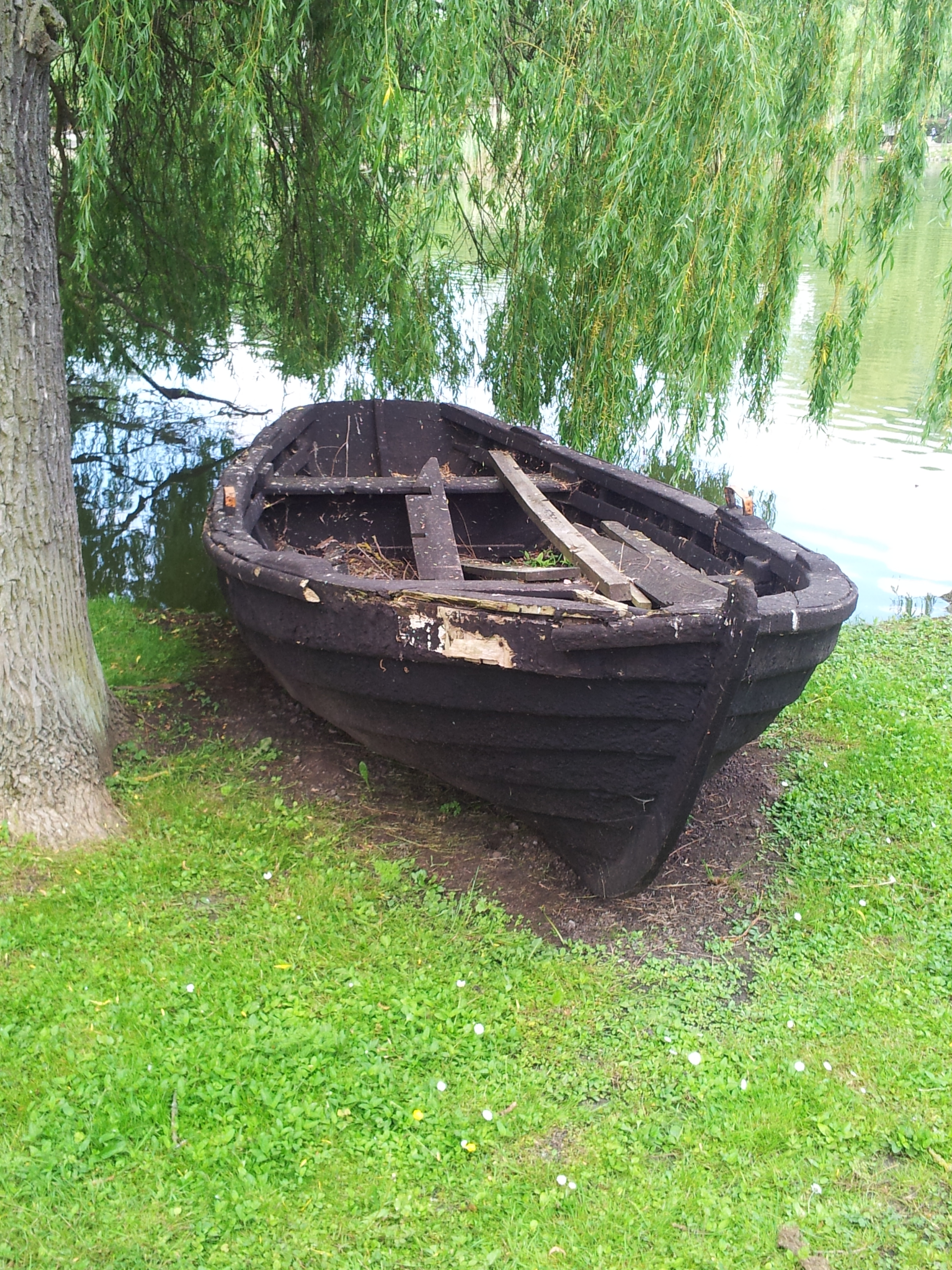 Bild 73 Heimattierpark Greifswald in Greifswald Hansestadt