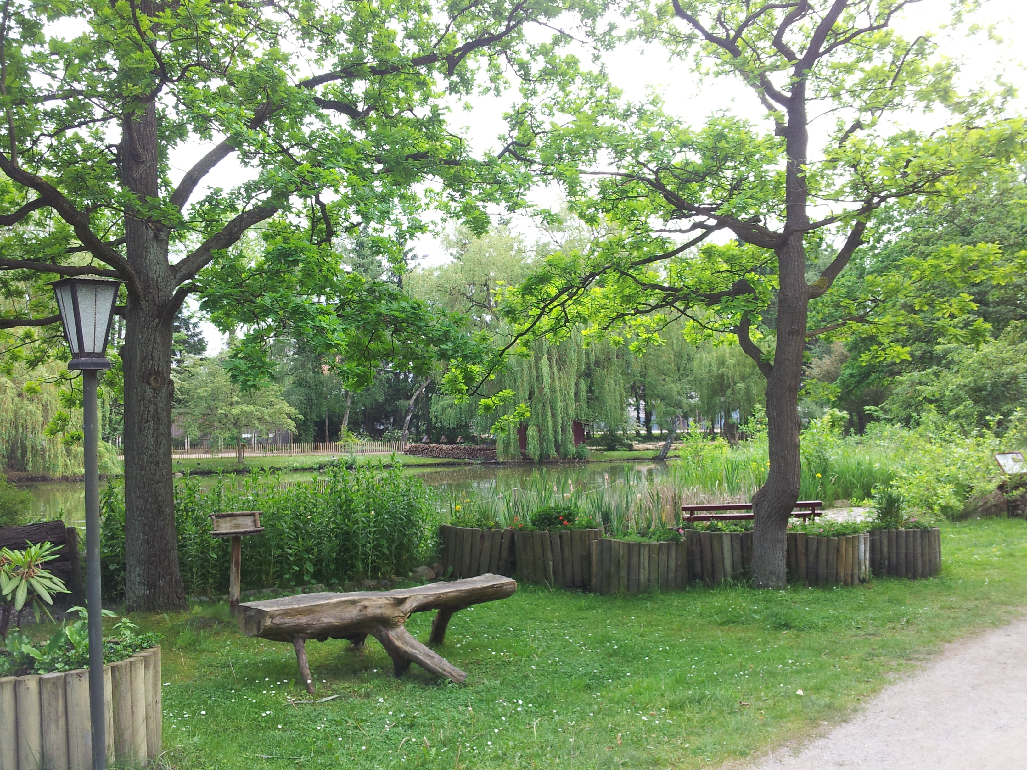 Bild 96 Heimattierpark Greifswald in Greifswald Hansestadt