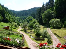 Bild zu Eulersbacher Hof - Ferienhof und Forellenzucht