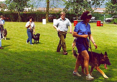 Leinenführigkeit - Hundeschule im Verein für Schäferhunde Heidelberg