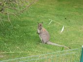 Nutzerbilder Karlsruher Zoo