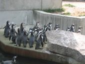 Nutzerbilder Karlsruher Zoo