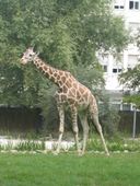 Nutzerbilder Karlsruher Zoo