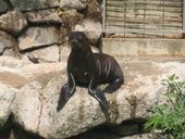 Nutzerbilder Karlsruher Zoo