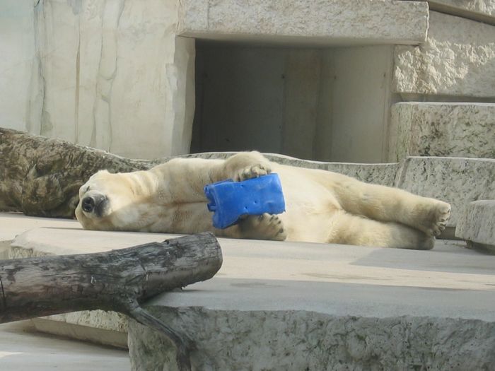 Nutzerbilder Karlsruher Zoo