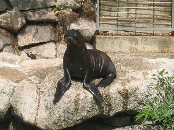 Nutzerbilder Karlsruher Zoo