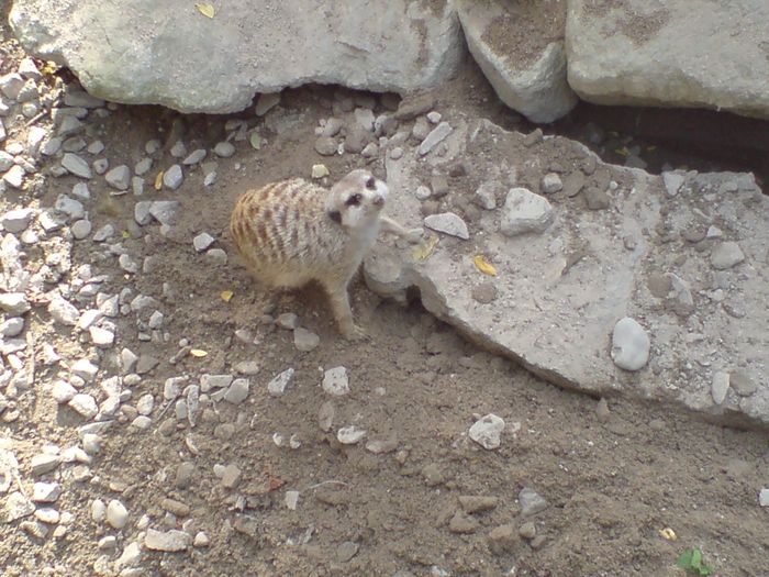 Nutzerbilder Karlsruher Zoo