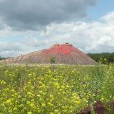 Eichholz Tier-, Freitzeit- und Saurierpark Germendorf in Oranienburg