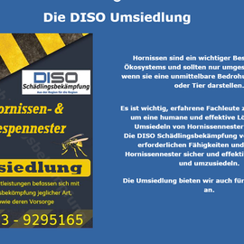 DISO Schädlingsbekämpfung in Eitorf