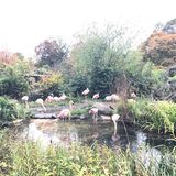 Tierpark Karlsruhe in Karlsruhe