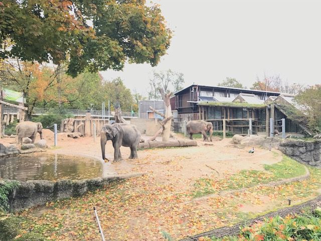 Tierpark Karlsruhe