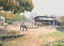 Bild zu Tierpark Karlsruhe