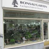 Bonsai-Garten Anja Tobien in Hamburg