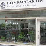 Bonsai-Garten Anja Tobien in Hamburg