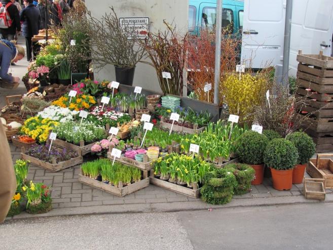 Der Frühling ist da... auf dem Isemarkt