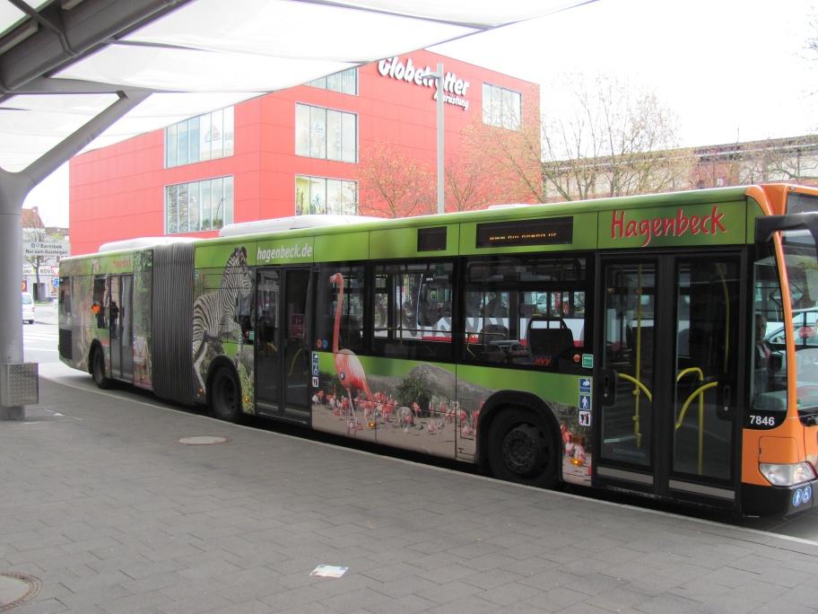 Bus der Hamburger Hochbahn mit Motiven aus Hagenbecks Tierpark