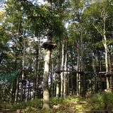 Kletterwald Hoherodskopf in Schotten in Hessen