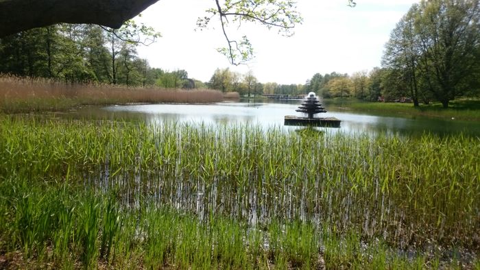 Am Britzer Garten