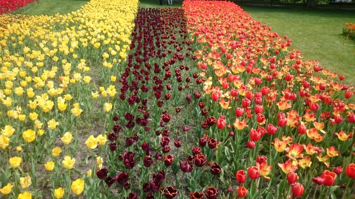 Am Britzer Garten