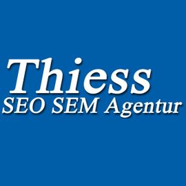 Logo der SEO SEM Agentur Thiess